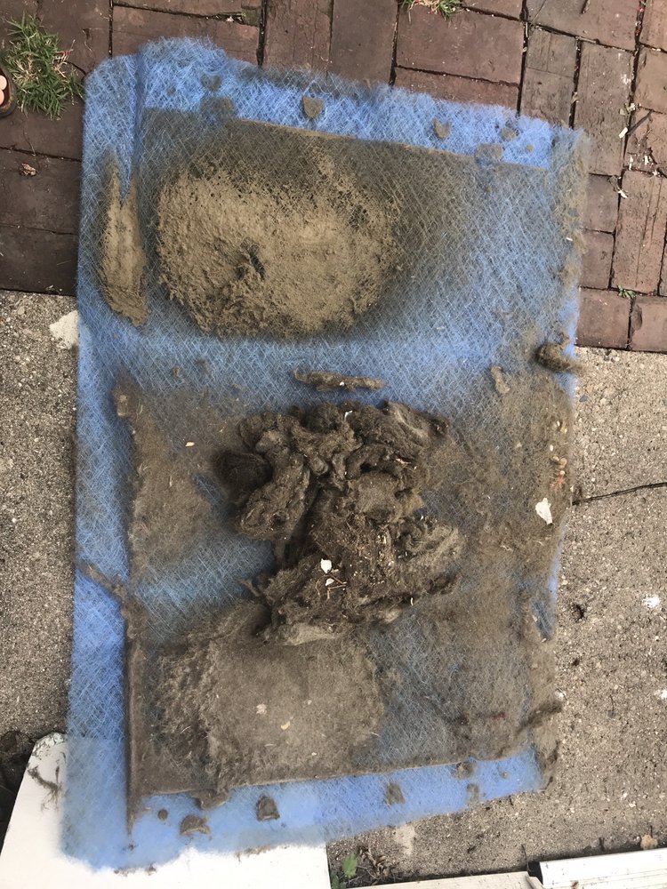 DRUMMOND CARPET & UPHOLSTERY CARE Updated September 2024 18 Photos