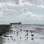 Photo of R.A. Apffel East Beach Park