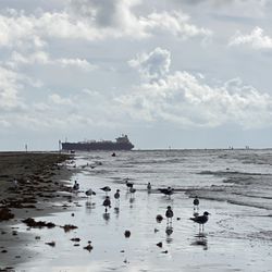 R.A. Apffel East Beach Park - Beach