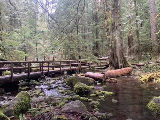 Tamolitch Falls (Blue Pool) by null