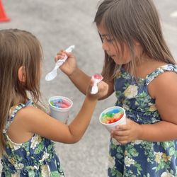 Honu Shaved Ice