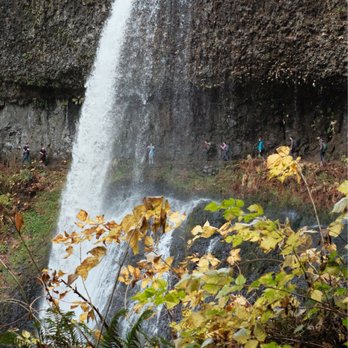 Silver Falls State Park - Hiking Near Me - Sublimity, Oregon