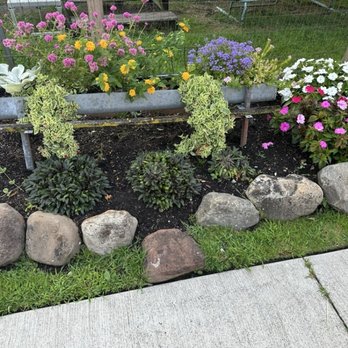 Cavotta's Garden Center - Nurseries & Gardening Near Me - Cleveland, Ohio Cavotta's Garden Center - Nurseries & Gardening Near Me - Cleveland, Ohio