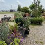 Photo of Plants Plus Nursery