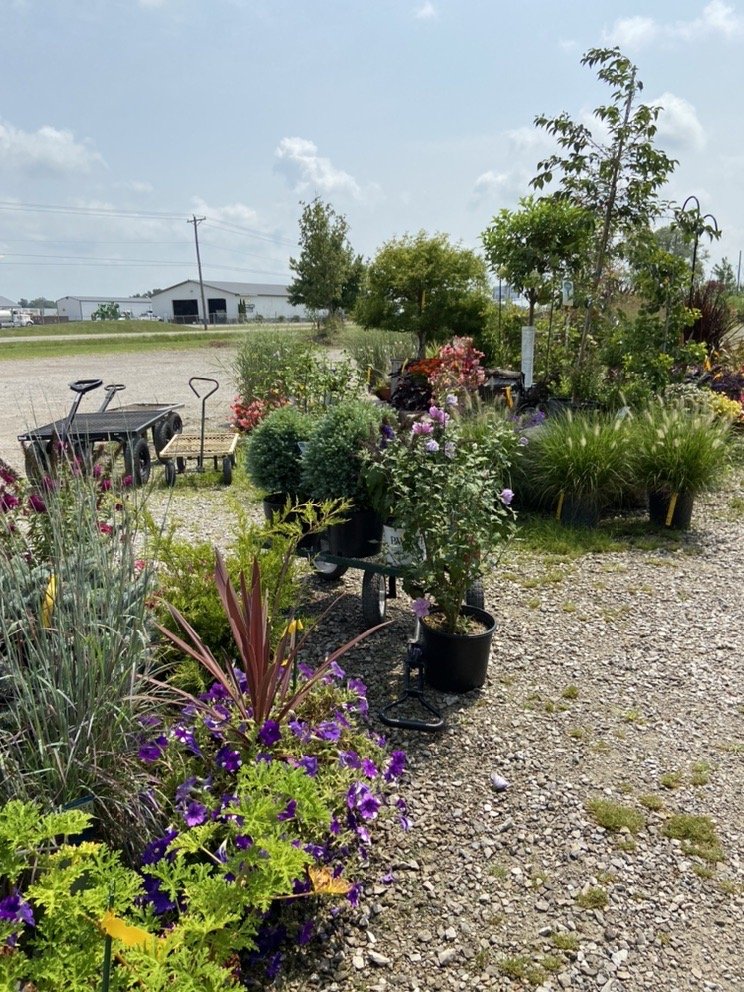 PLANTS PLUS NURSERY Updated October 2024 V 851 St Rt 66, Archbold, Ohio Nurseries