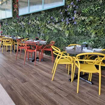Bar Serra - Interior dining with faux greenery. - Wine Bars Near Me - Oklahoma City, Oklahoma