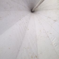 Five Star Party Rentals - Mildew
