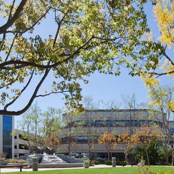 Mora, Kline & Associates, LLP - Accountants Near Me - Los Angeles, California Mora, Kline & Associates, LLP - Accountants Near Me - Los Angeles, California