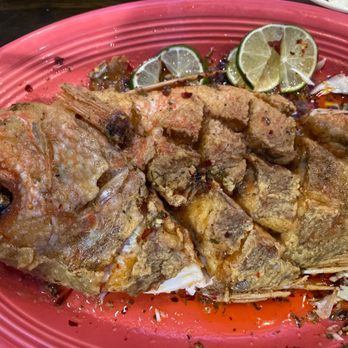 Shuck Me Southlake - Whole Red Snapper - Seafood Near Me - Southlake, Texas Shuck Me Southlake - Whole Red Snapper - Seafood Near Me - Southlake, Texas