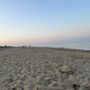 Photo of Siasconset Beach