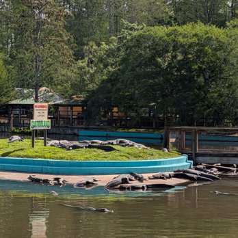Gatorland - Zoos Near Me - Orlando, Florida