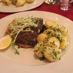 Restaurace Adéla - filet z kapra a petrželkové brambůrky