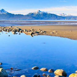 Old Town Bed & Breakfast - Old Town Bed and Breakfast overlooks Bishops Beach in Homer