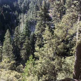 Buckhorn Campground - Campgrounds Near Me - Arcadia, California