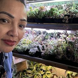 Botanical Arts Company