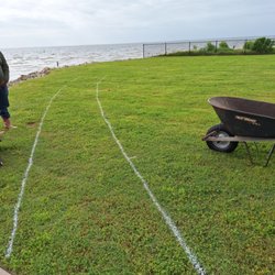 Lawn Boss