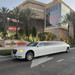 5 Star Party Bus Rental