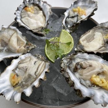 Crudo - Oysters on the half shell ($24) close up. - Latin American Near Me - Palm Springs, California Crudo - Oysters on the half shell ($24) close up. - Latin American Near Me - Palm Springs, California