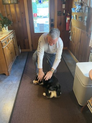 Roosevelt Inn of Hyde Park by null