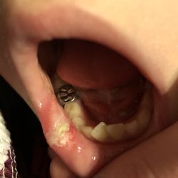 Greenberg Dental and Orthodontics