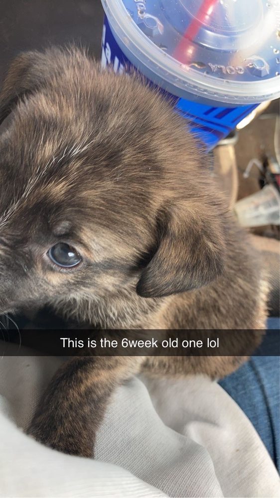 Jen’s Babysitting and others - childcare center in Tucson, AZ