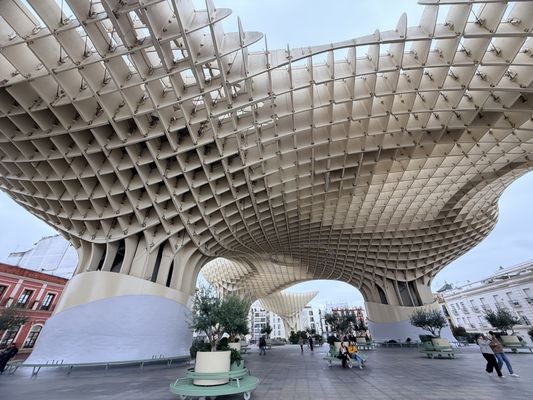 Setas de Sevilla by null