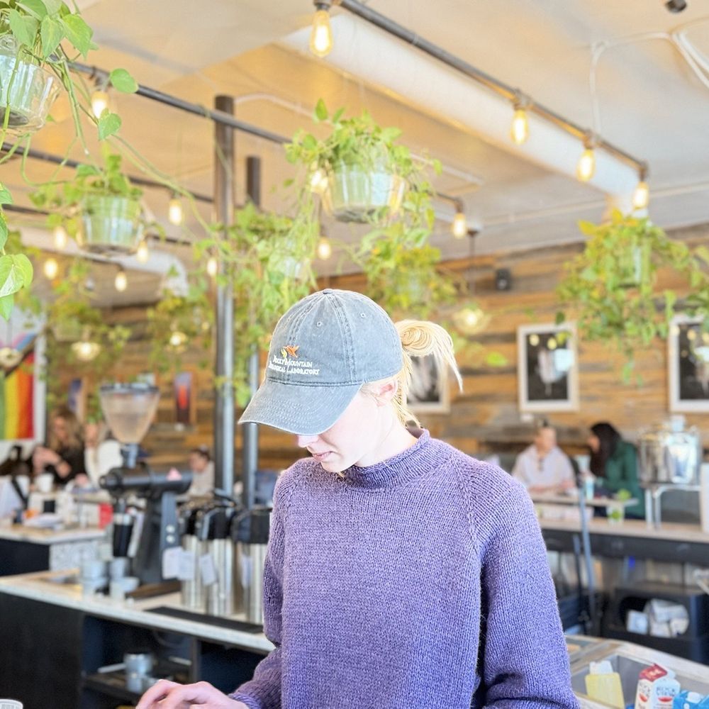 Aviano Coffee - Coffee & Tea Near Me - Denver, Colorado