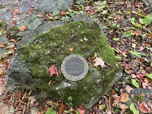 The Clearing by null