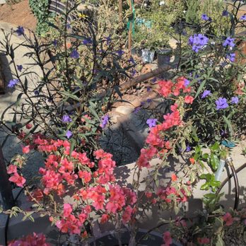 Plantable Nursery & Cafe - Nurseries & Gardening Near Me - Redding, California Plantable Nursery & Cafe - Nurseries & Gardening Near Me - Redding, California