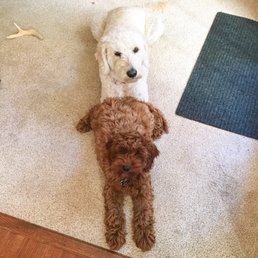 Penny and Buttercup... so happy together! Penny and Buttercup... so happy together!