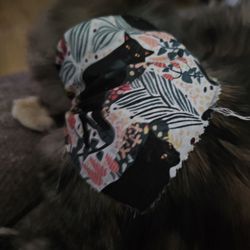 West Coast Grooming Academy - Today, they gave each cat a cute little cat bandana!