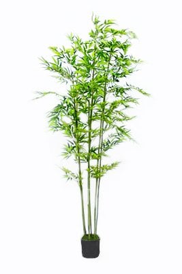 Center Of Floral Design & Supply