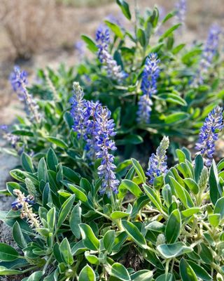 LITHIA SPRINGS PARK - Updated January 2026 - 167 Photos & 70 Reviews