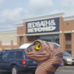 Bed Bath & Beyond - Bob the Raptor Says "Mammals must come here to sleep and take a bath... Tired Smelly Mammals!"