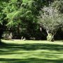Photo of One Cut Lawn Care