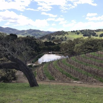 Artisan Excursion Wine Tours - Transportation Near Me Artisan Excursion Wine Tours - Transportation Near Me