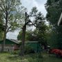 Photo of Algoa Tree Service