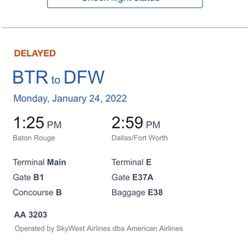 American Airlines