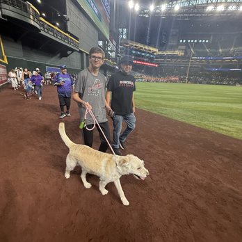 Chase Field - Walking on the field for the dog parade! - Stadiums & Arenas Near Me - Phoenix, Arizona