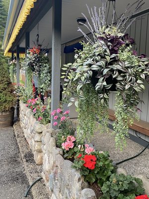 Wildberry Restaurant by null