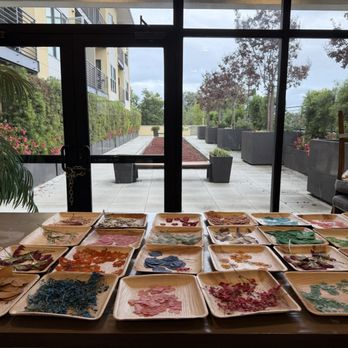 Studio Floras - Flower table - Art Classes Near Me - San Jose, California