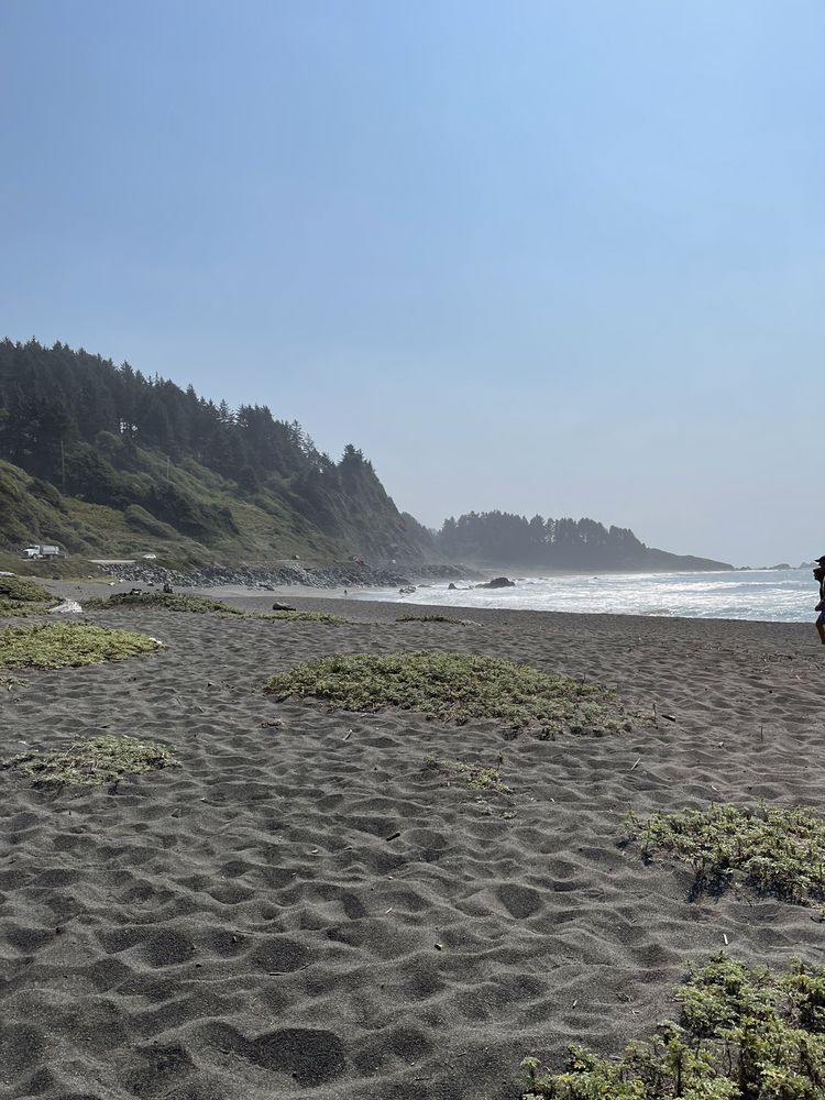 Wilson Creek Beach Logo