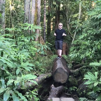 Tropical Rainforest Tours - Walking Tours Near Me Tropical Rainforest Tours - Walking Tours Near Me