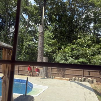 Marshall's Tree Service - Tree Services Near Me - Virginia Beach, Virginia
