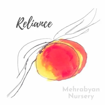 Mehrabyan Nursery - Nurseries & Gardening Near Me - Ithaca, New York Mehrabyan Nursery - Nurseries & Gardening Near Me - Ithaca, New York
