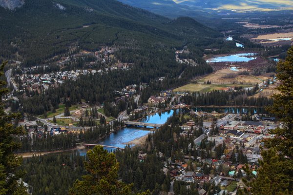 Tunnel Mountain Trail by null