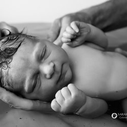 Sage Birth & Wellness Collective - Sage Birth & Wellness Collective - Boulder Doula