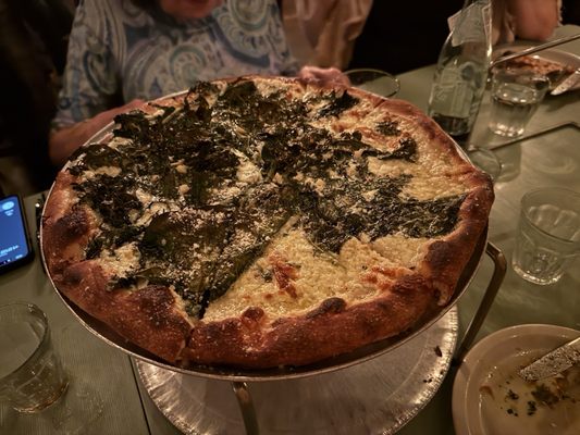 Tiny Champions by null