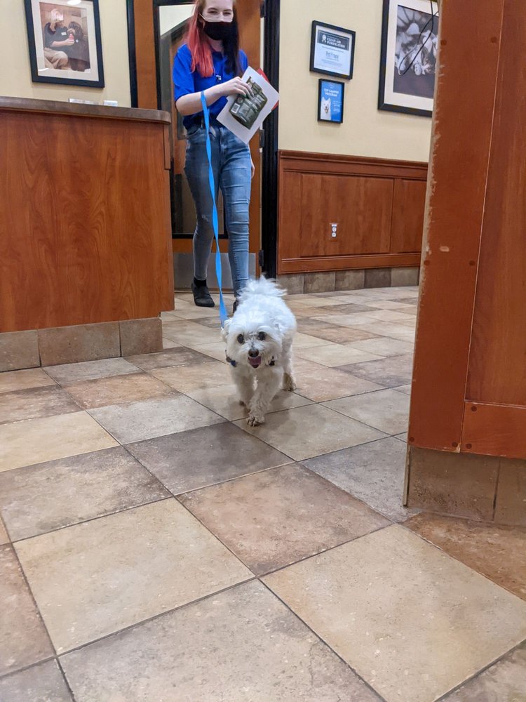 PETSMART Updated July 2024 13 Reviews 1750 Innes Rd, Gloucester