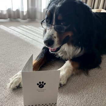 The Little Nell - JB was a big fan of the pet amenities at The Little Nell! - Hotels Near Me - Aspen, Colorado The Little Nell - JB was a big fan of the pet amenities at The Little Nell! - Hotels Near Me - Aspen, Colorado